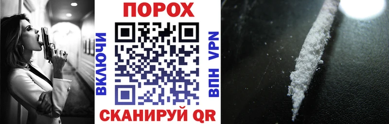 Купить закладки  Петухово  Amphetamine 98% 