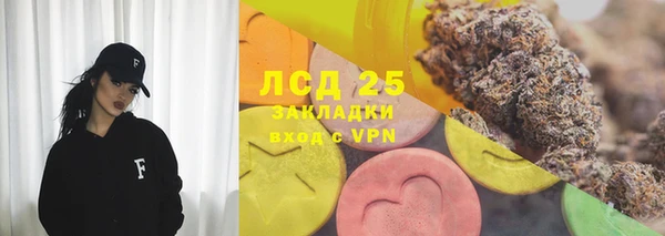 сатива Кинешма