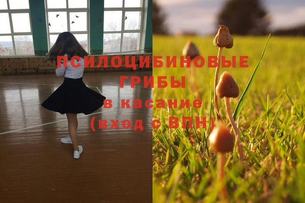 прущая мука Киренск