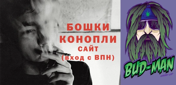 сатива Кинешма