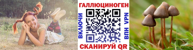 Купить закладки  Петухово  Галлюциногенные грибы GOLDEN TEACHER 